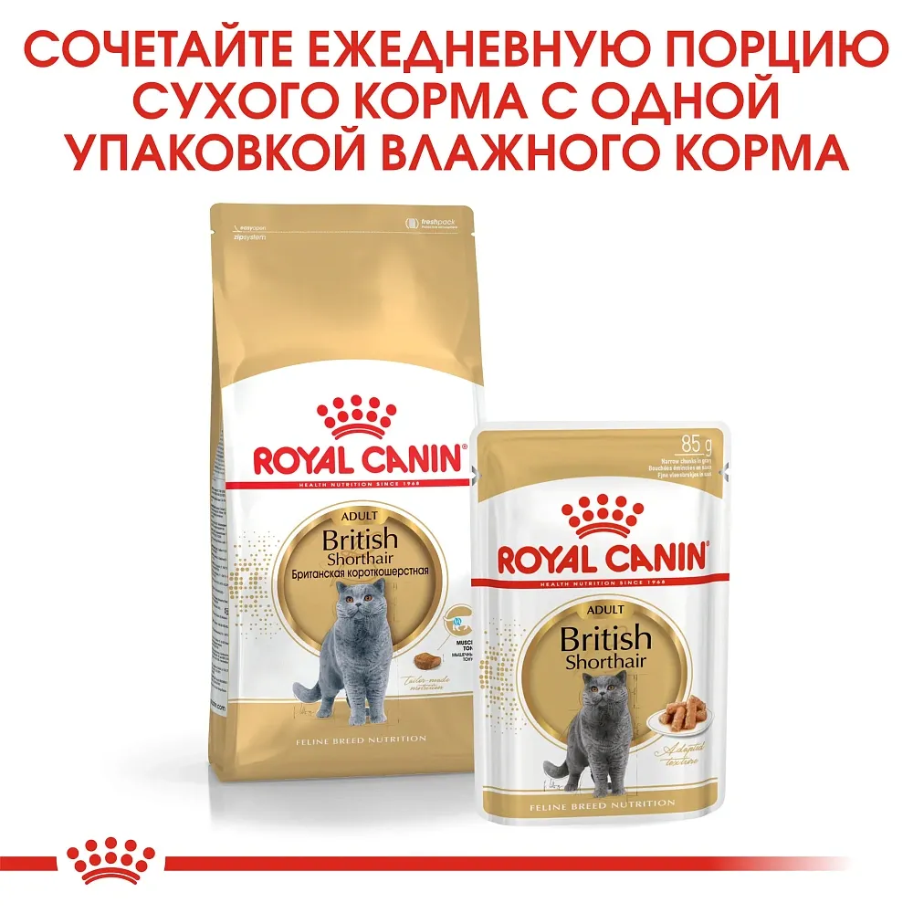 Royal Canin British Shorthair Adult (соус)