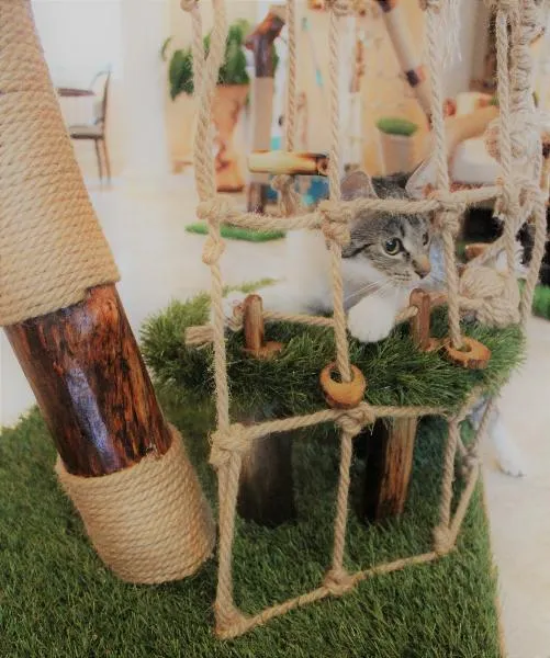 Natural House Когтеточка Fenix