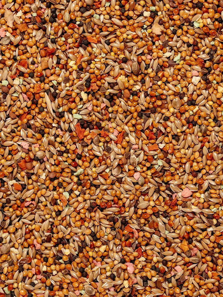 MIKIMEALS Корм для канареек