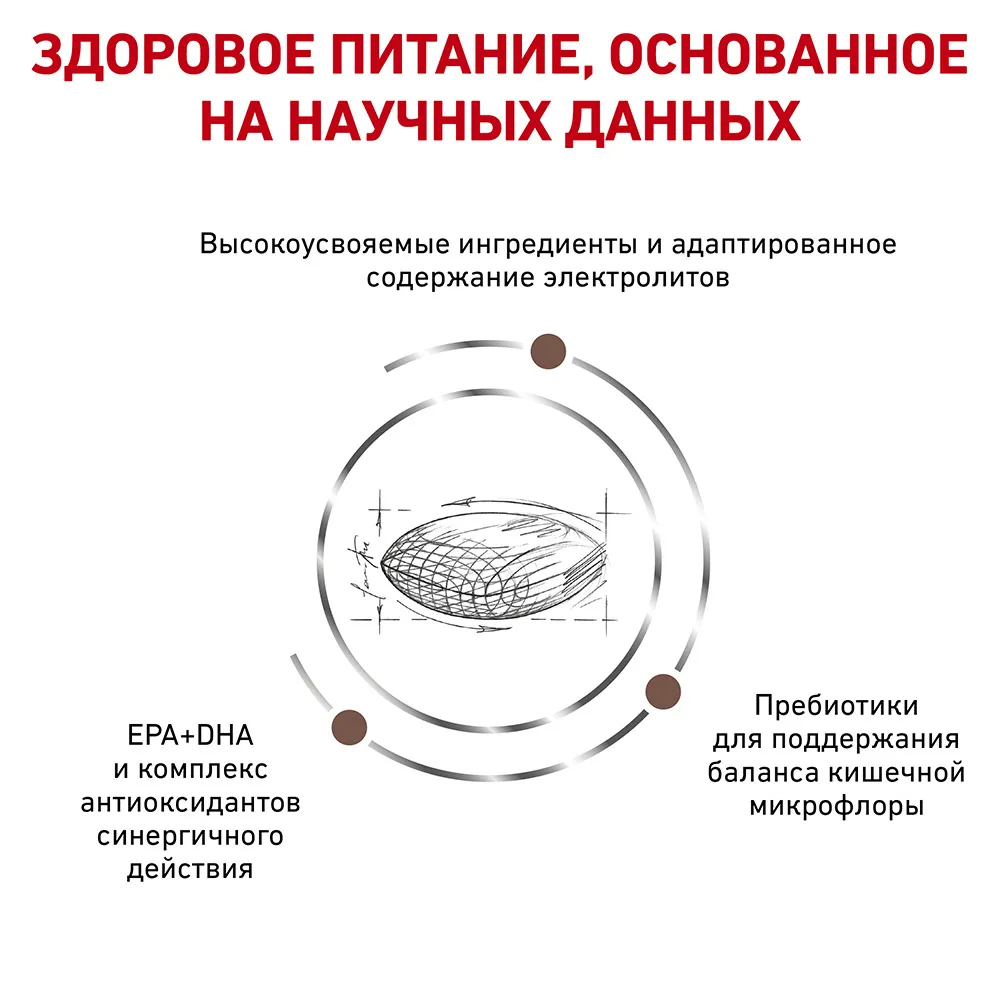 Royal Canin Gastrointestinal Low Fat