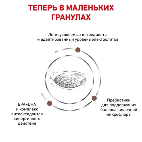 Royal Canin Gastrointestinal Low Fat Small Dog