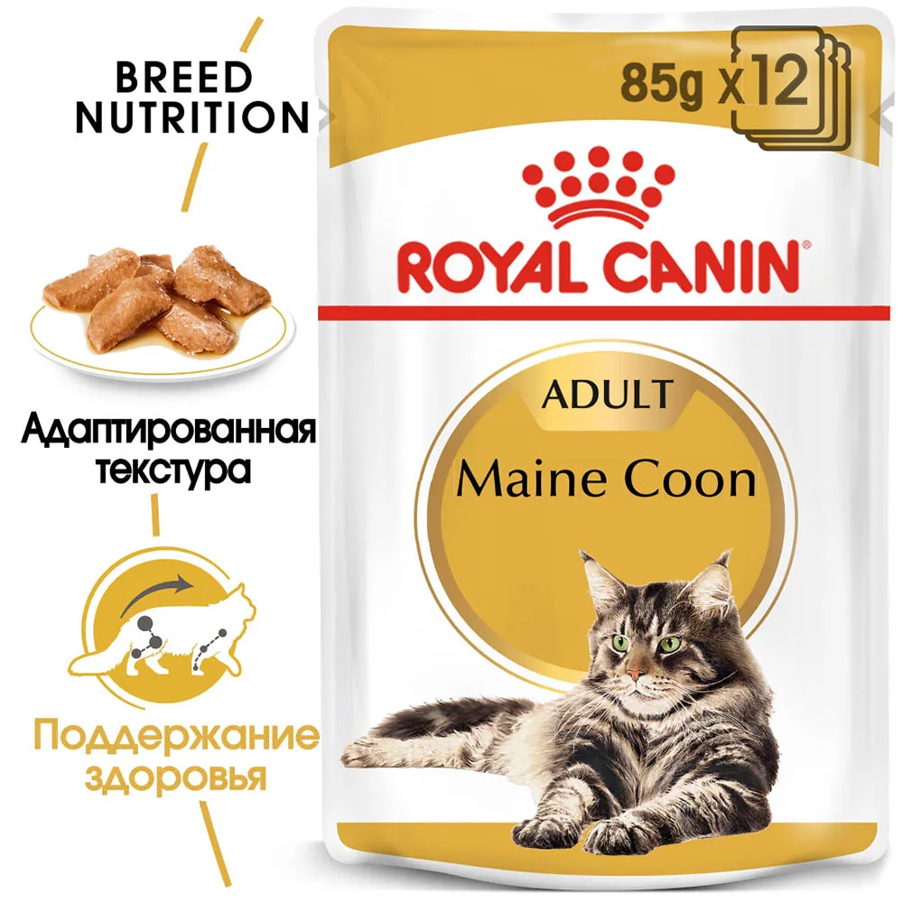 Royal Canin Maine Coon Adult (соус)