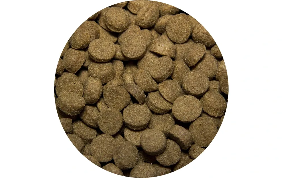 All Cats для стерилизованных кошек (Индейка)