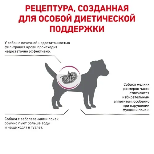 Royal Canin Renal Small Dog