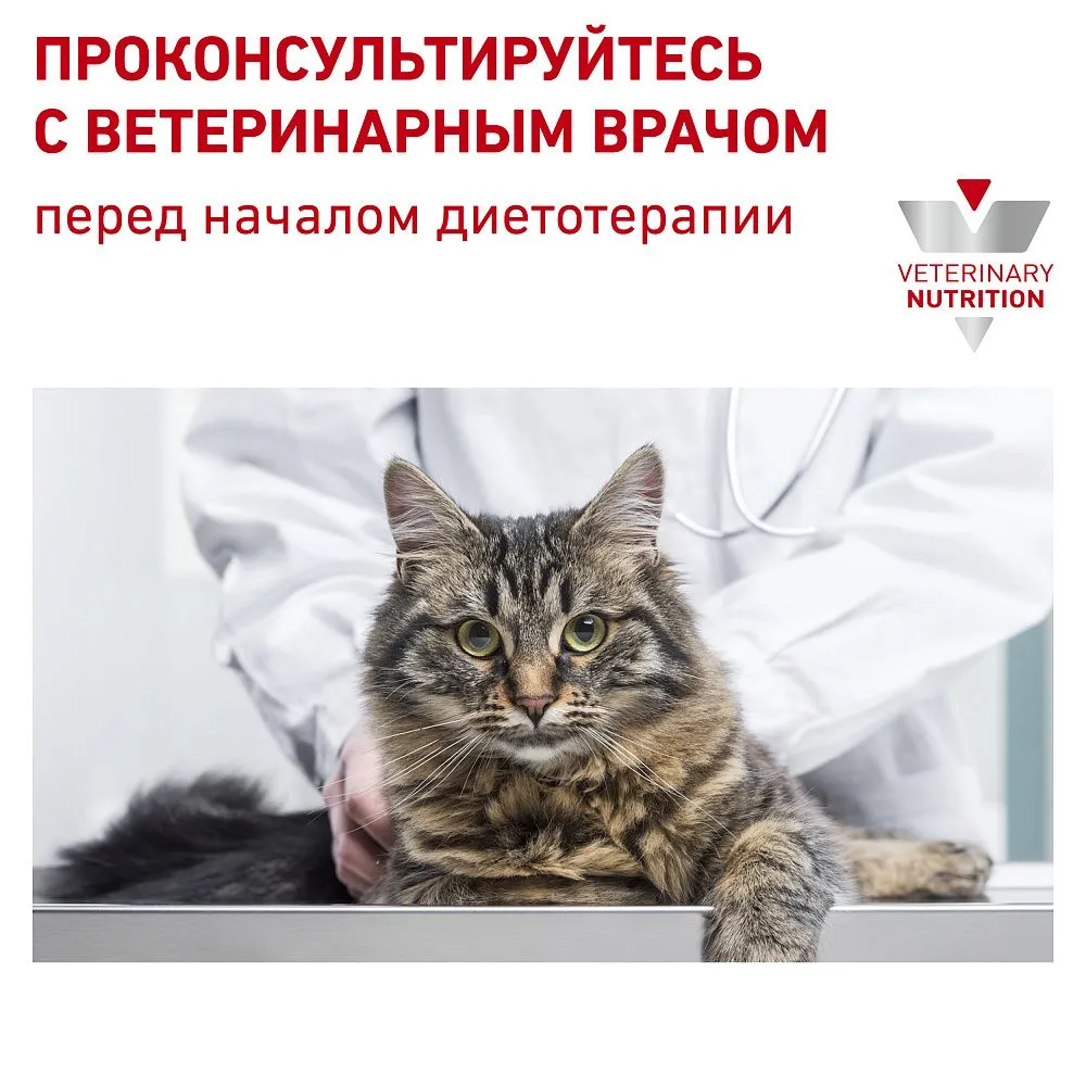 Royal Canin Renal Cat