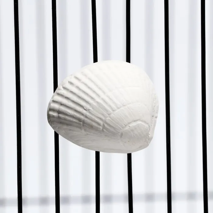 Пижон Минеральный камень для птиц ракушка