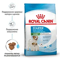 Royal Canin Mini Starter