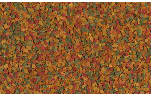 Tetra TetraMin XL Crisps