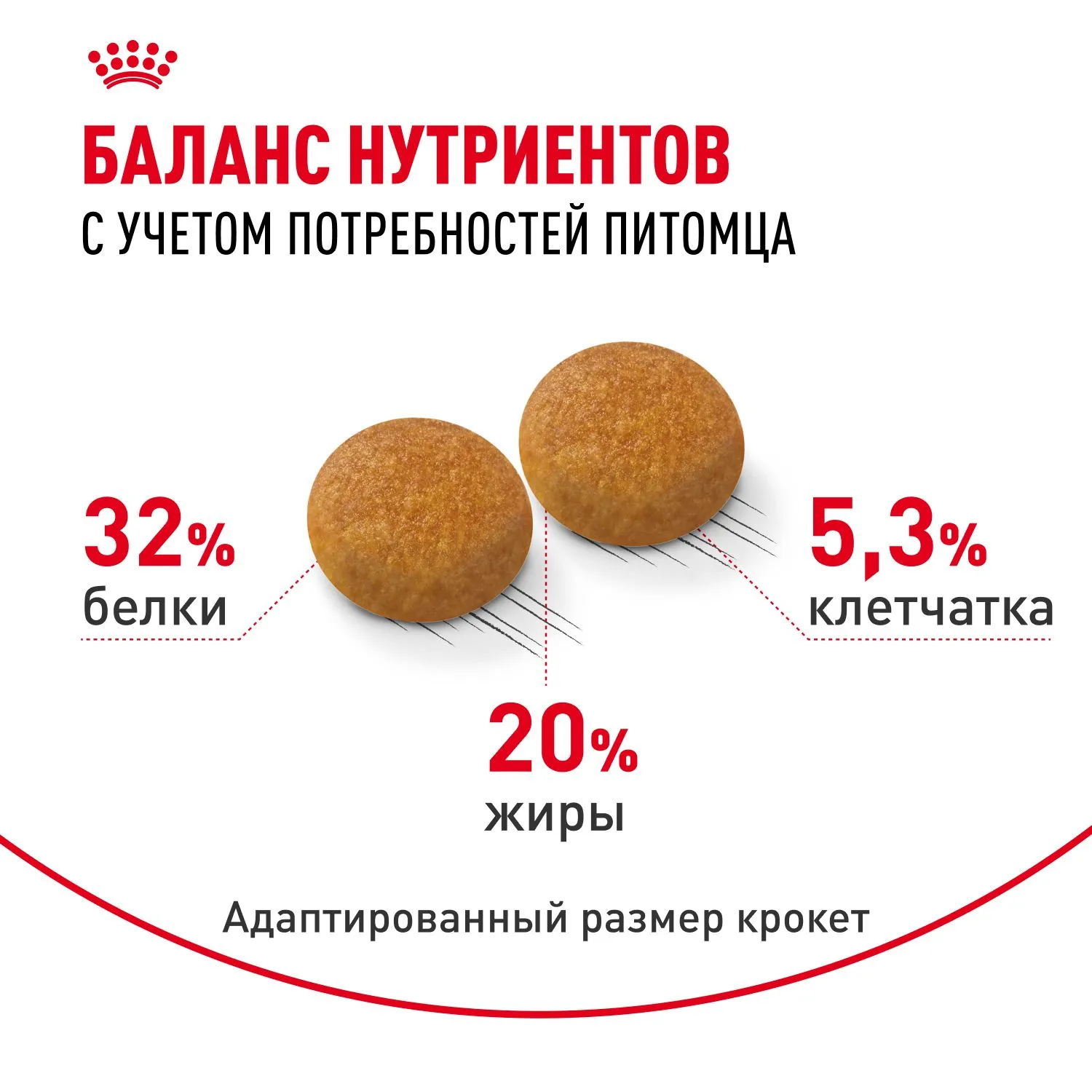 Корм Royal Canin Siberian Adult для кошек