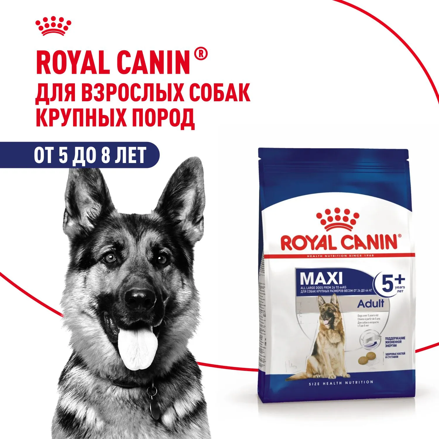 Корм Royal Canin Maxi Adult 5+ для собак