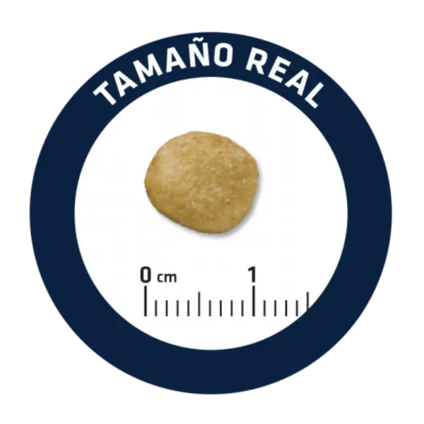 Advance Dog VetDiet Renal