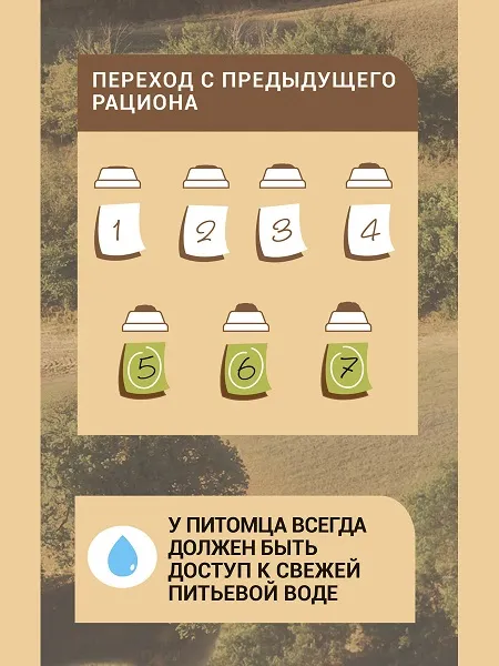 Glance для взрослых кошек с говядиной