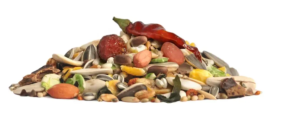 RIO Корм для крупных попугаев