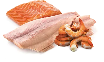 Консервы Farmina N&D Ocean Dog Adult Mini (Форель, лосось)