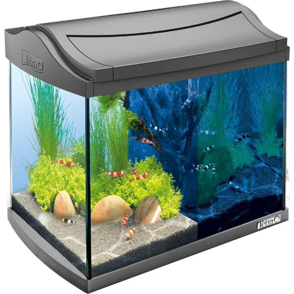 Tetra Аквариум "AquaArt LED Set Shrimp", 20 л