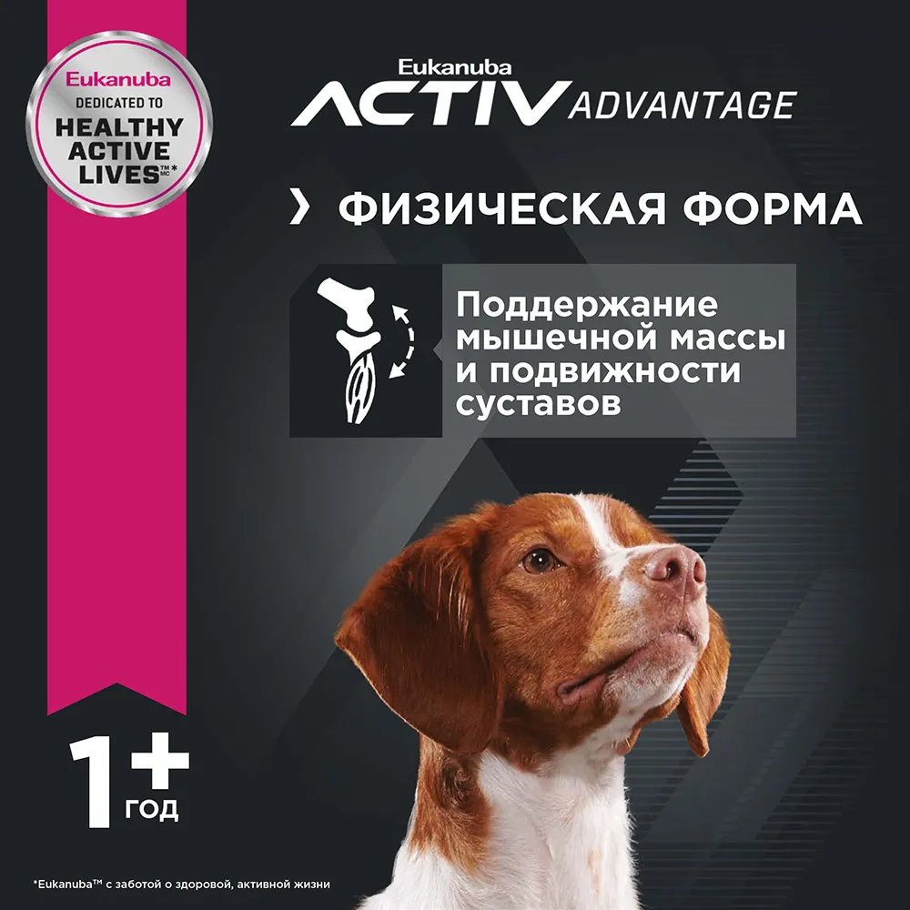Eukanuba Adult All Breed (Ягненок)