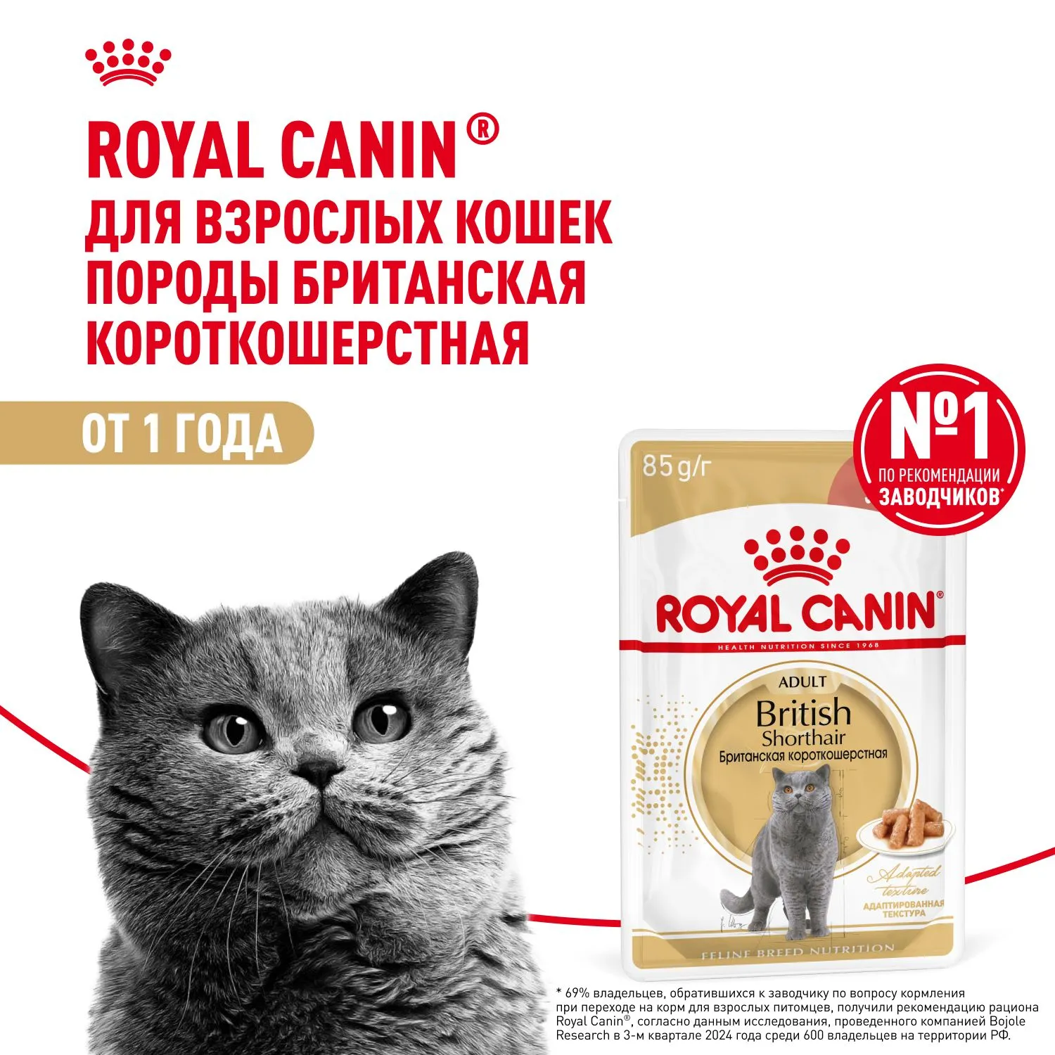 Royal Canin British Shorthair Adult (соус)