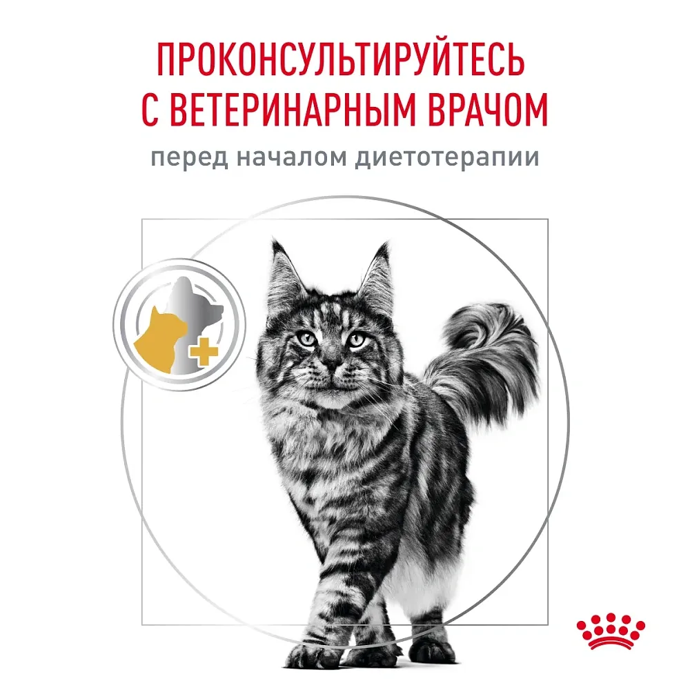 Royal Canin Urinary S/O Moderate Calorie Feline