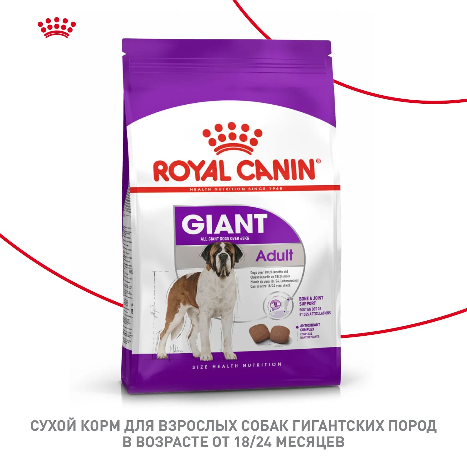 Корм Royal Canin Giant Adult для собак