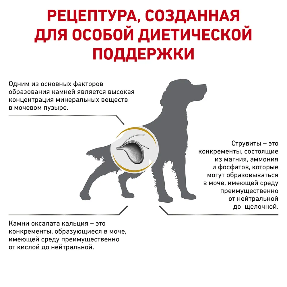 Корм Royal Canin Urinary S/O Dog для взрослых собак при мочекаменной болезни