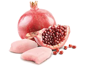 Консервы Farmina N&D Prime Puppy Mini (Курица и гранат)