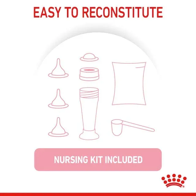 Royal Canin Babycat Milk