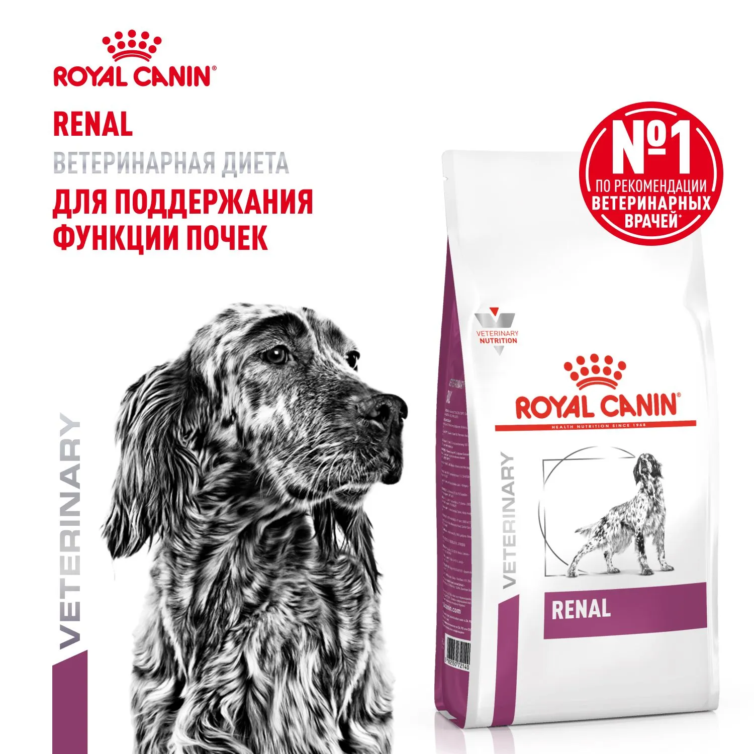 Royal Canin Renal Dog