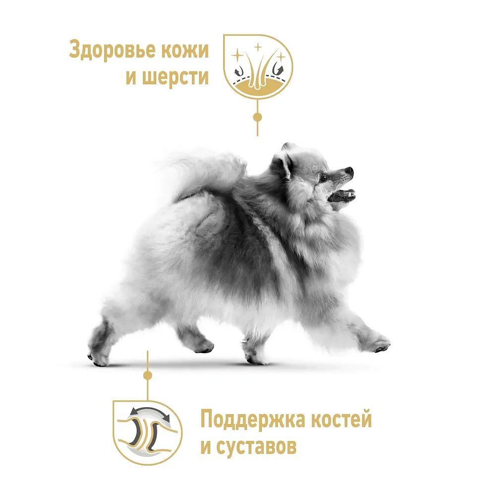 Корм Royal Canin Pomeranian Adult для собак