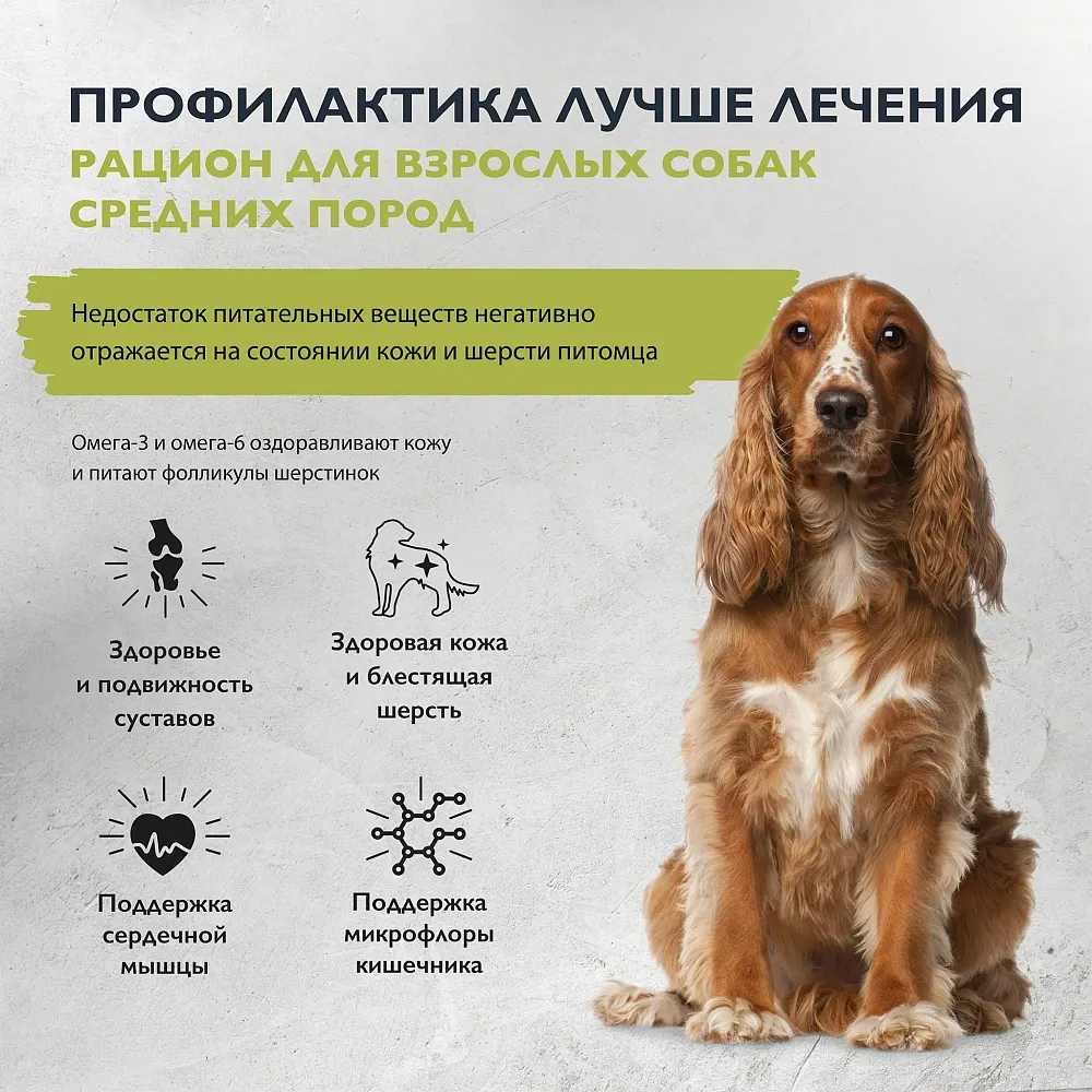 Корм Brit Care Dog Adult M Healthy Skin&Shiny Coat (Лосось, индейка) для собак