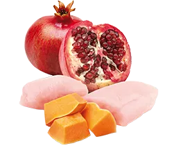 Консервы Farmina N&D Pumpkin Dog Adult Mini (Курица, тыква, гранат)