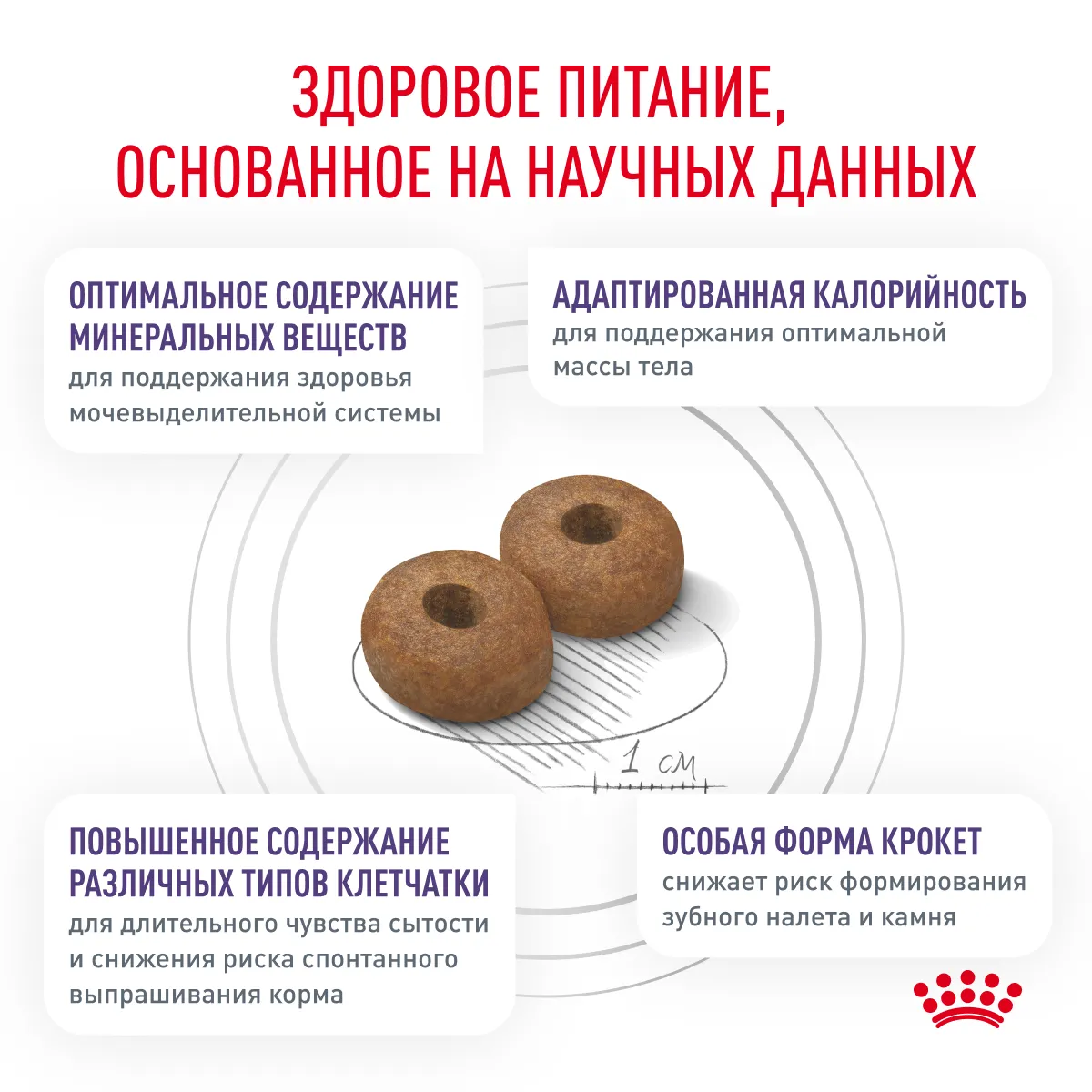 Royal Canin Neutered Adult Small Dog