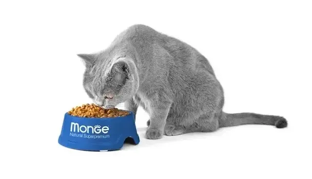 Monge VetSolution Diabetic Cat ветеринарный корм для кошек