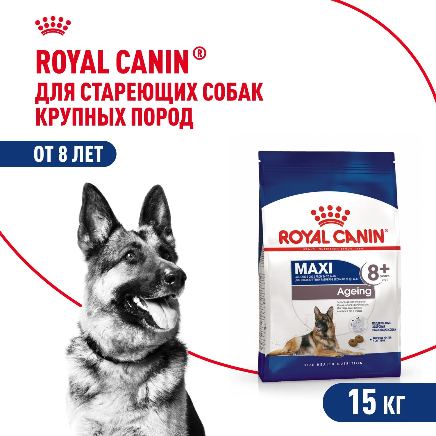 Корм Royal Canin Maxi Ageing 8+ для крупных собак в возрасте 8 лет и старше