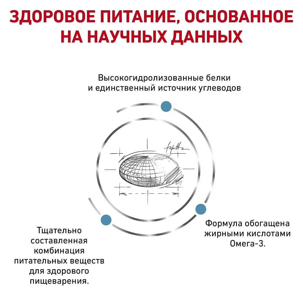 Royal Canin Skintopic Dog