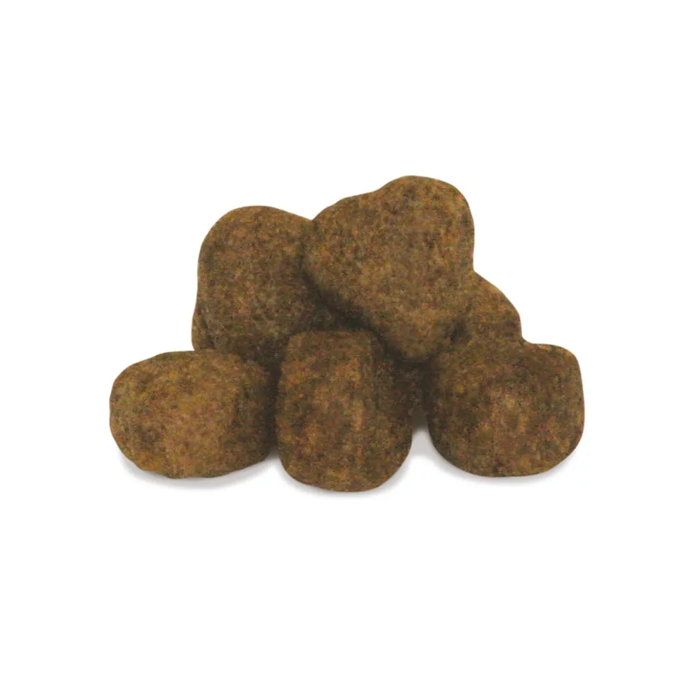 Unica Gemma Adult Medium Skin (Лосось)