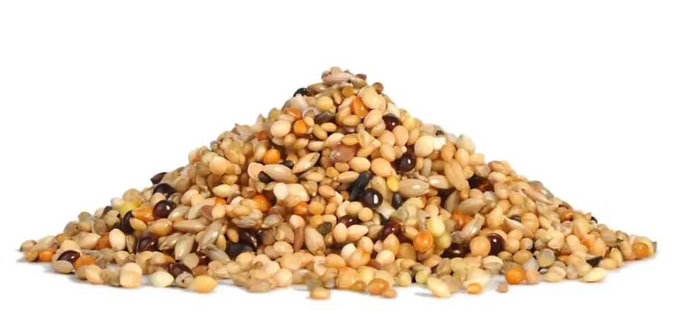 RIO Корм для экзотических птиц