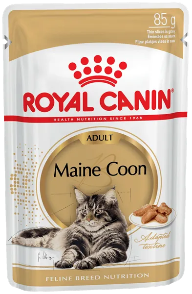 Royal Canin Maine Coon Adult (соус)