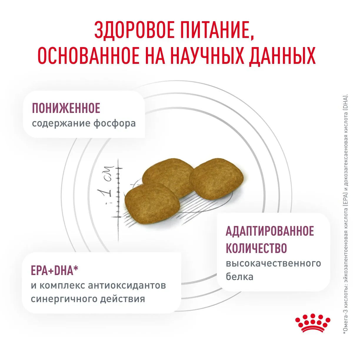 Royal Canin Renal Dog