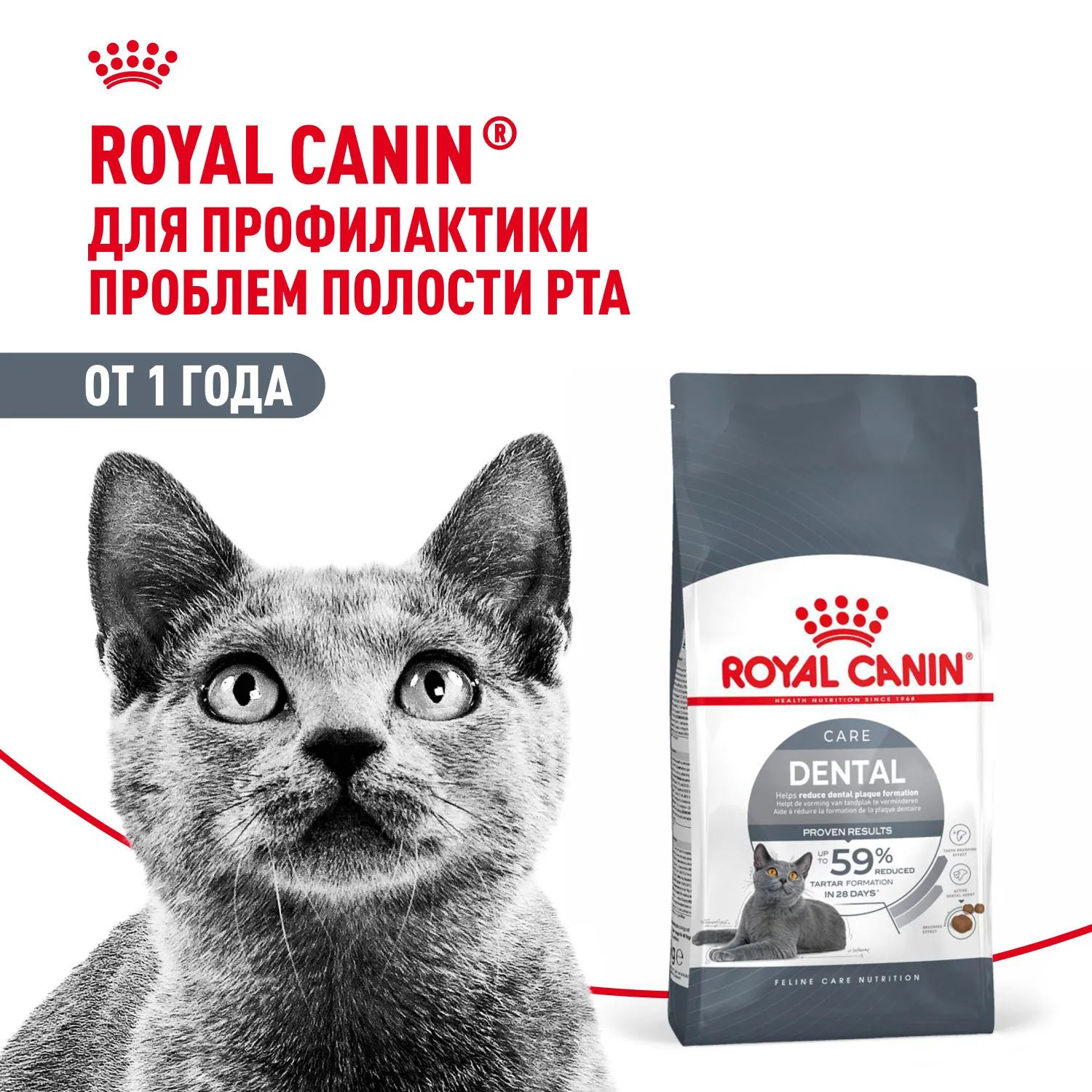 Корм Royal Canin Dental Care для кошек