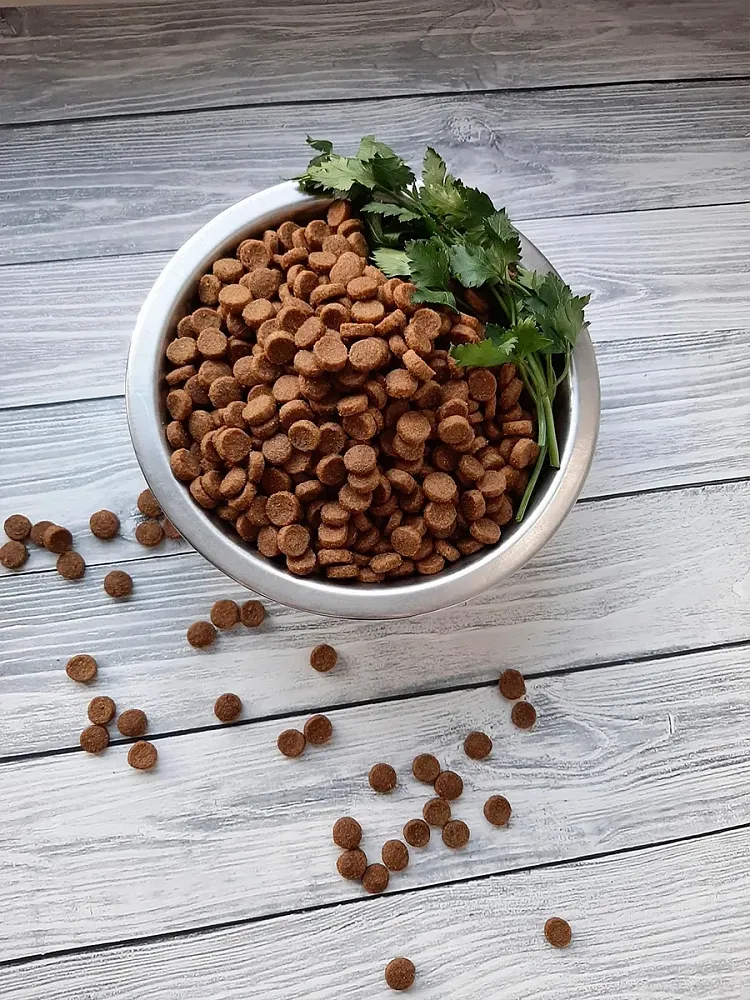 ProBalance Dog Immuno Adult Mini