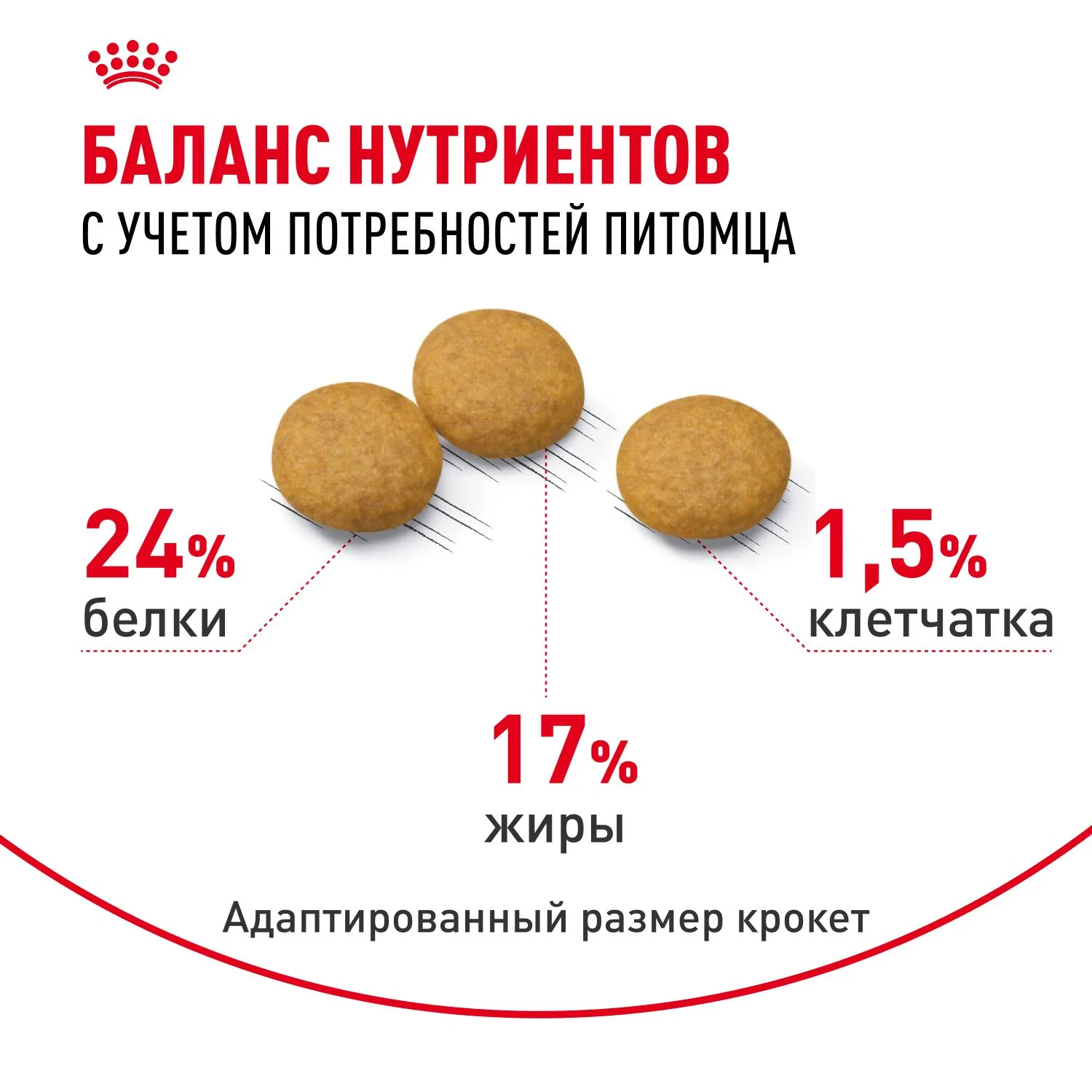 Корм Royal Canin Medium Dermacomfort для собак