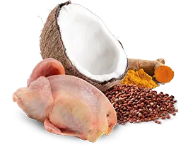 Консервы Farmina N&D Quinoa Dog Adult Mini (Перепел, кокос)