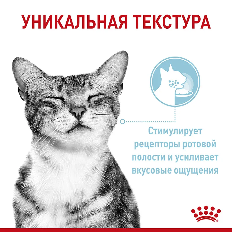 Royal Canin Sensory Feel (соус)