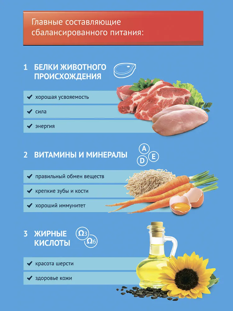 Proхвост для щенков