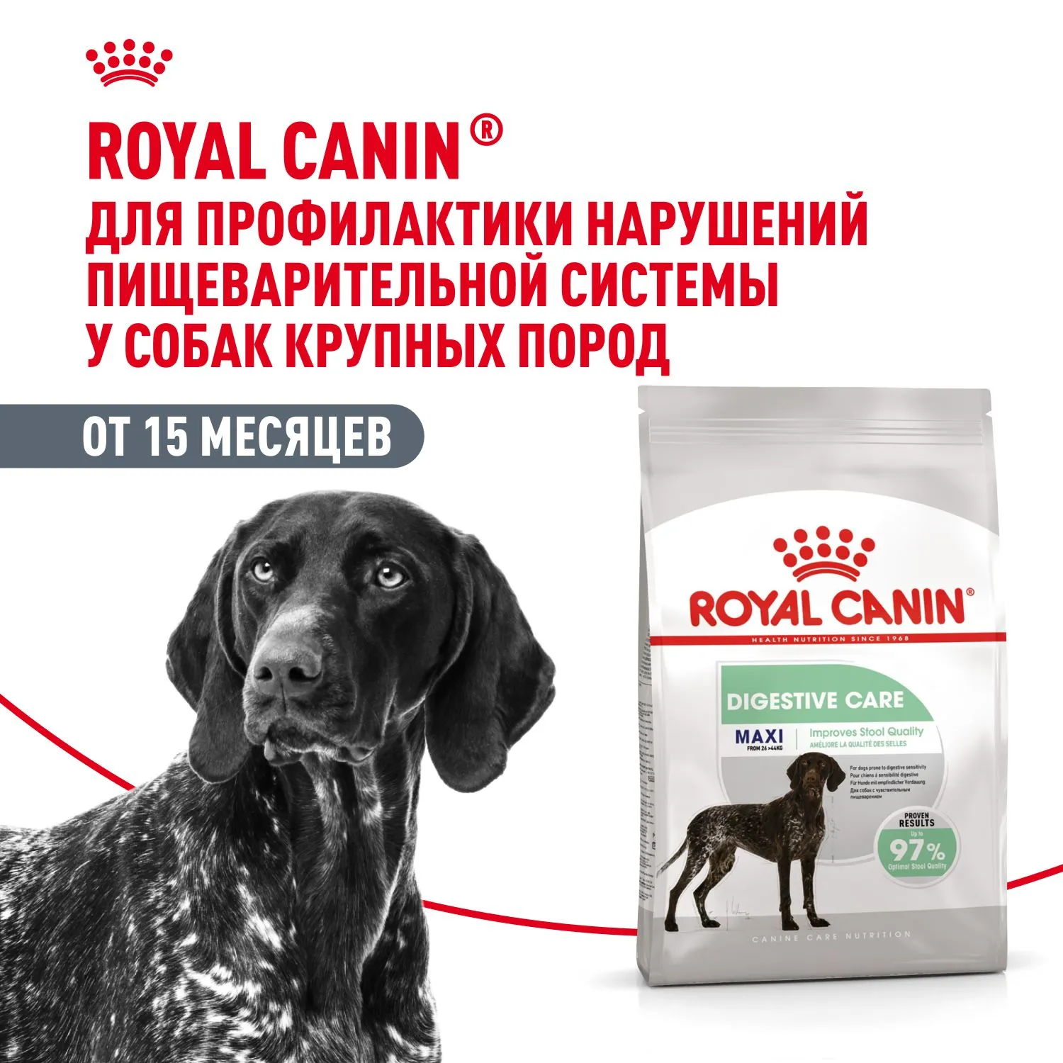 Корм Royal Canin Maxi Digestive Care для собак