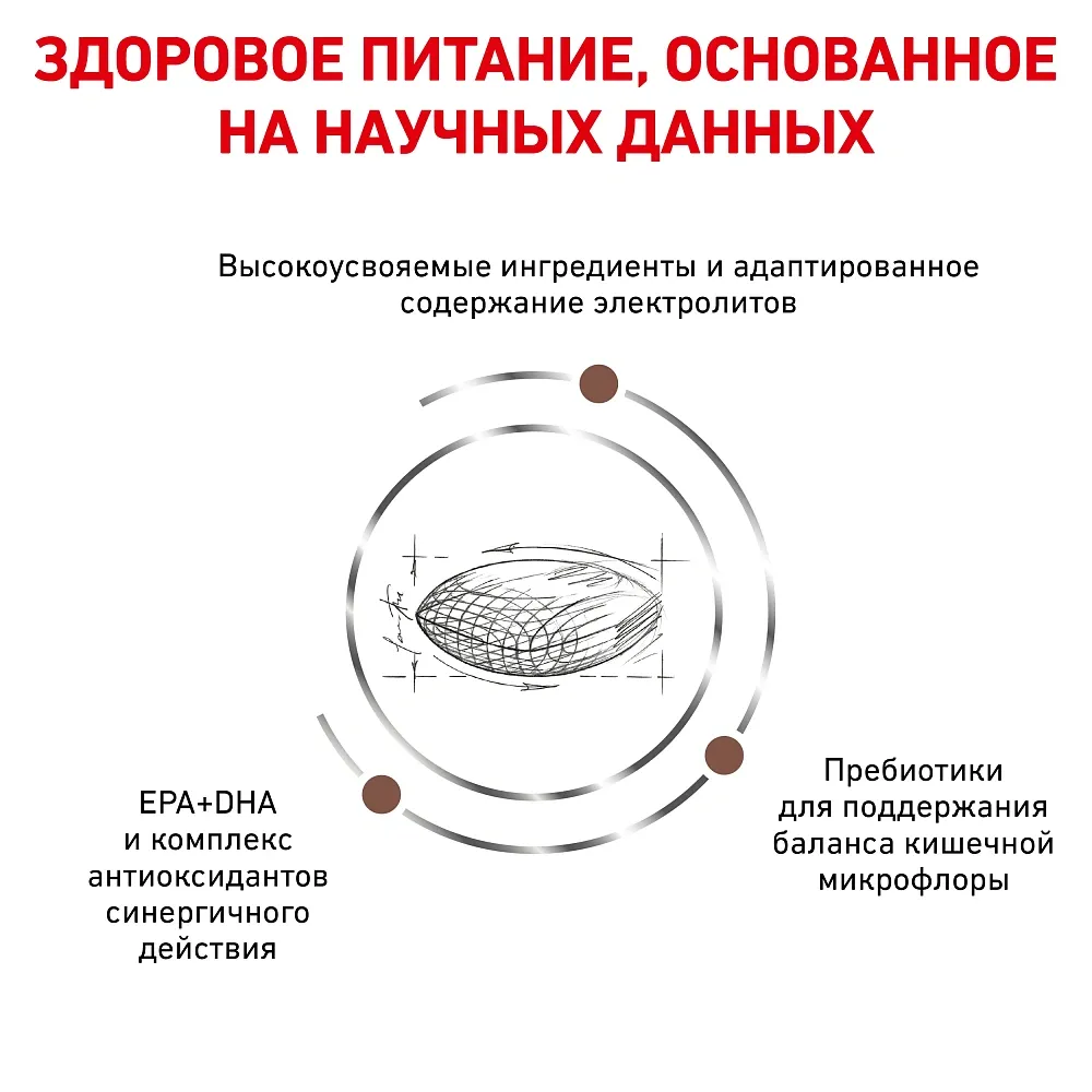 Royal Canin Gastrointestinal Hairball