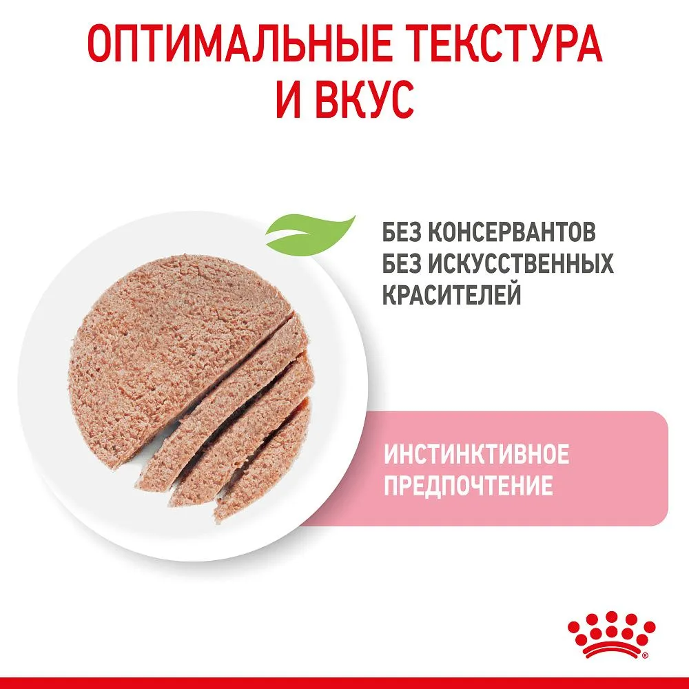 Royal Canin Kitten (паштет)