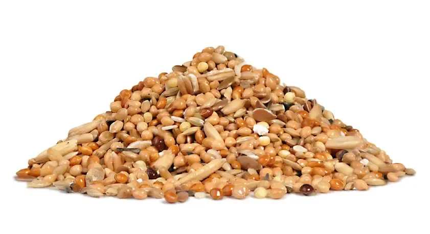 RIO Корм для волнистых попугаев (линька)