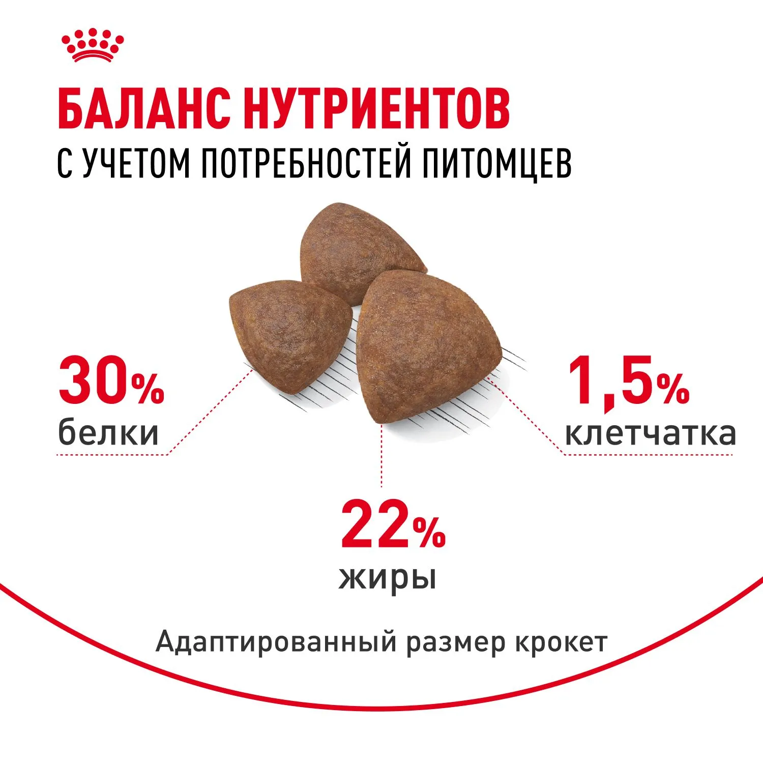 Royal Canin Medium Starter