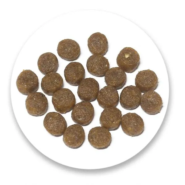 Nature's Protection Kitten